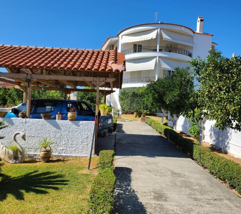 Photo of Others in Amarinthos