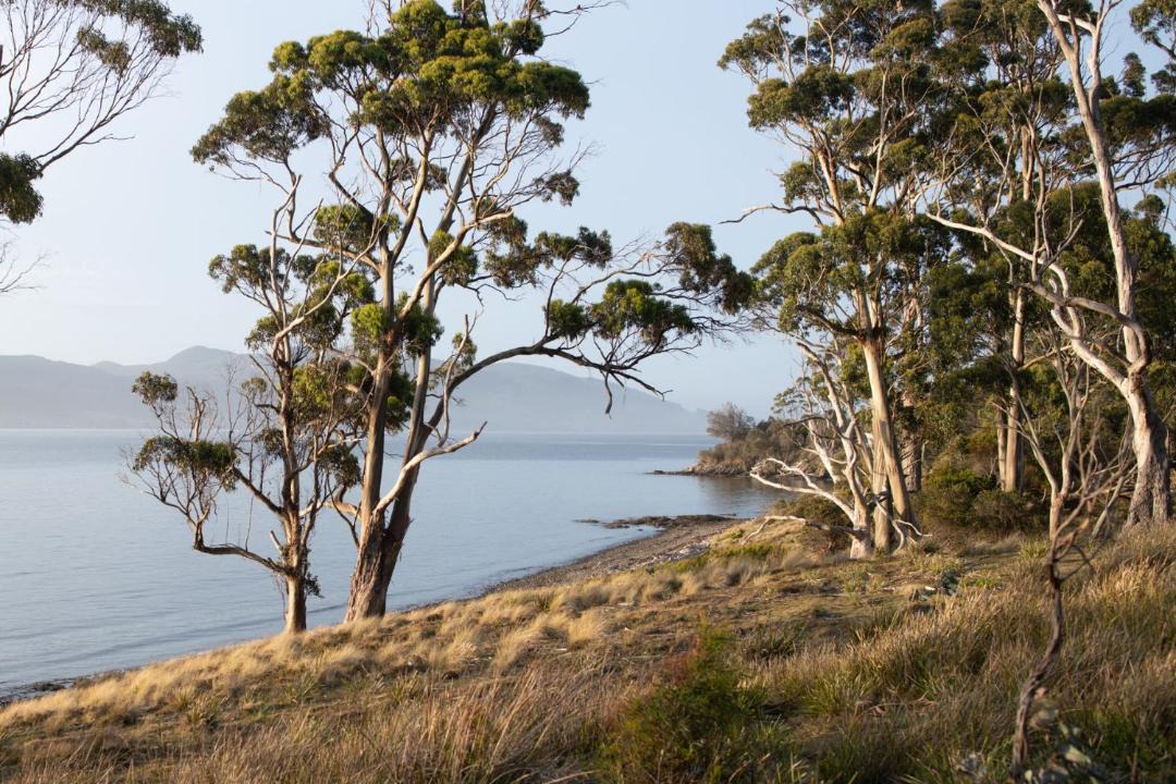 Photo of Others in Alonnah