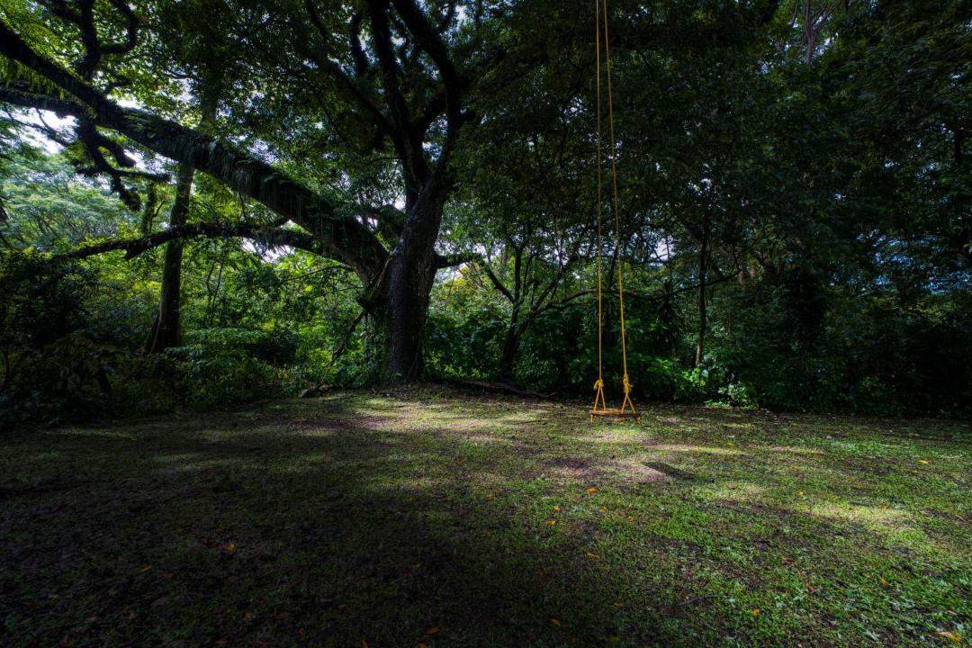 Photo of Others in Dominical