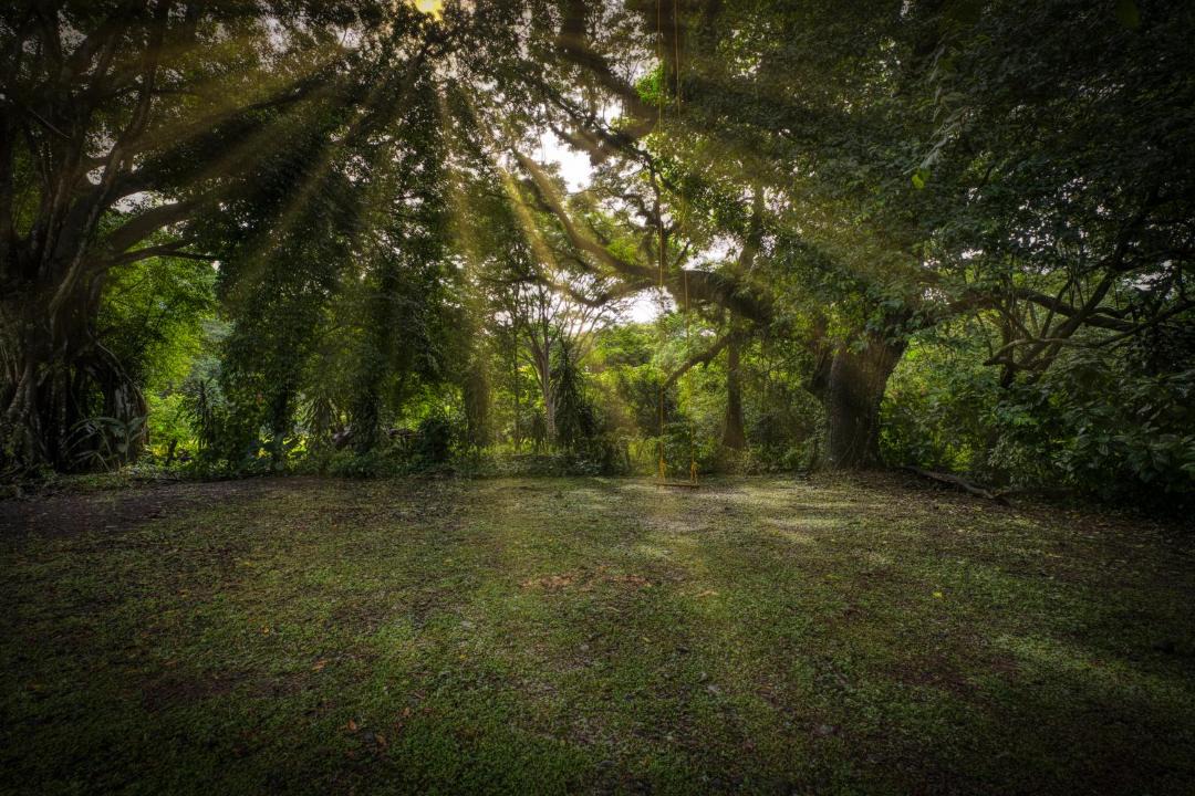 Photo of Others in Dominical