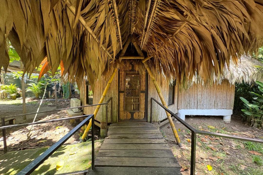 Photo of Others in Puerto Viejo de Talamanca