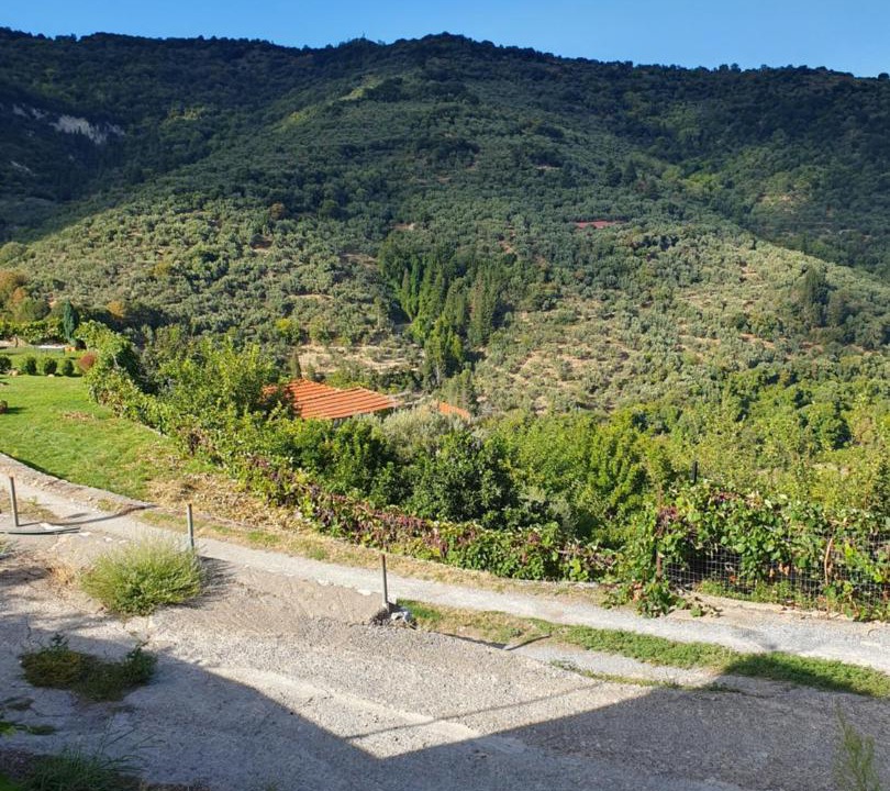 Photo of Others in Tripi