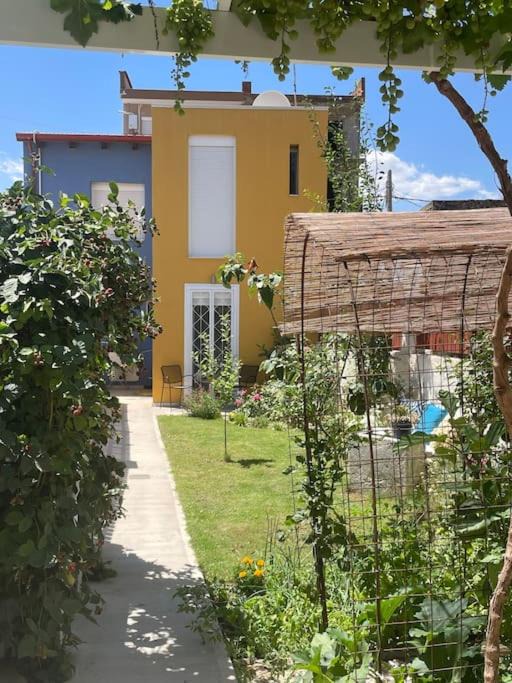 Photo of Others in Tyrnavos Municipality