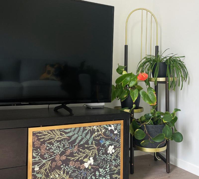 Photo of Livingroom in Henderson