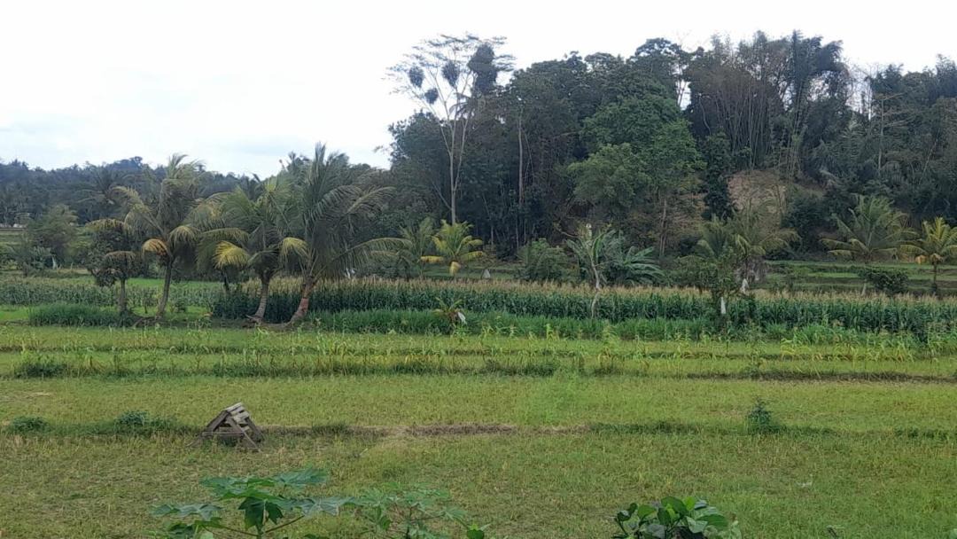 Photo of Others in Batukliang