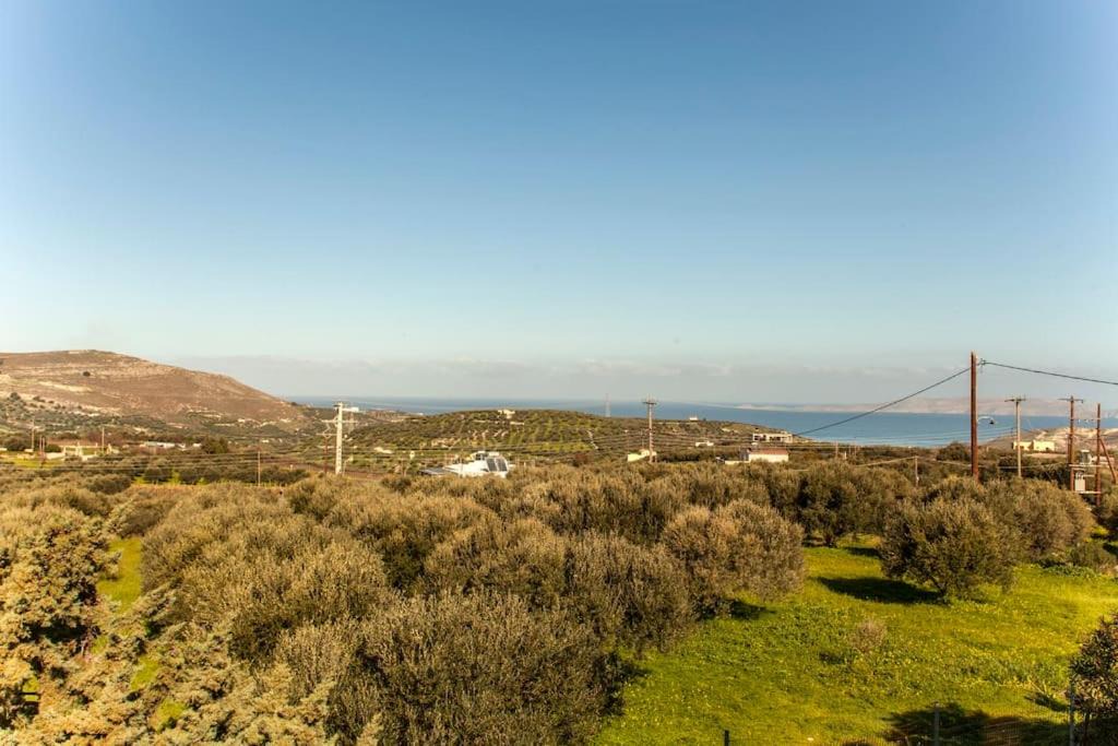 Photo of Others in Skalani