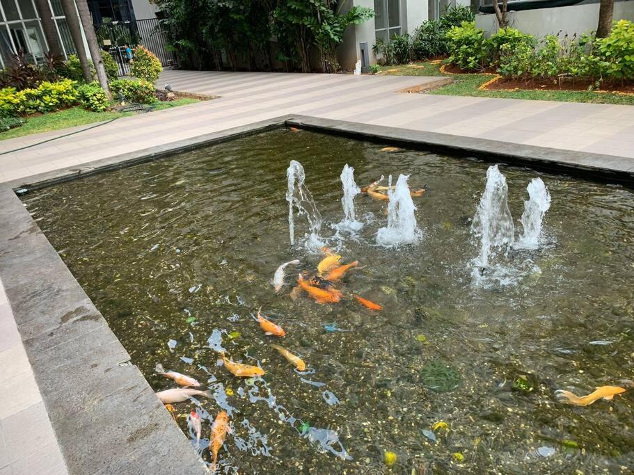 Photo of Others in Pluit