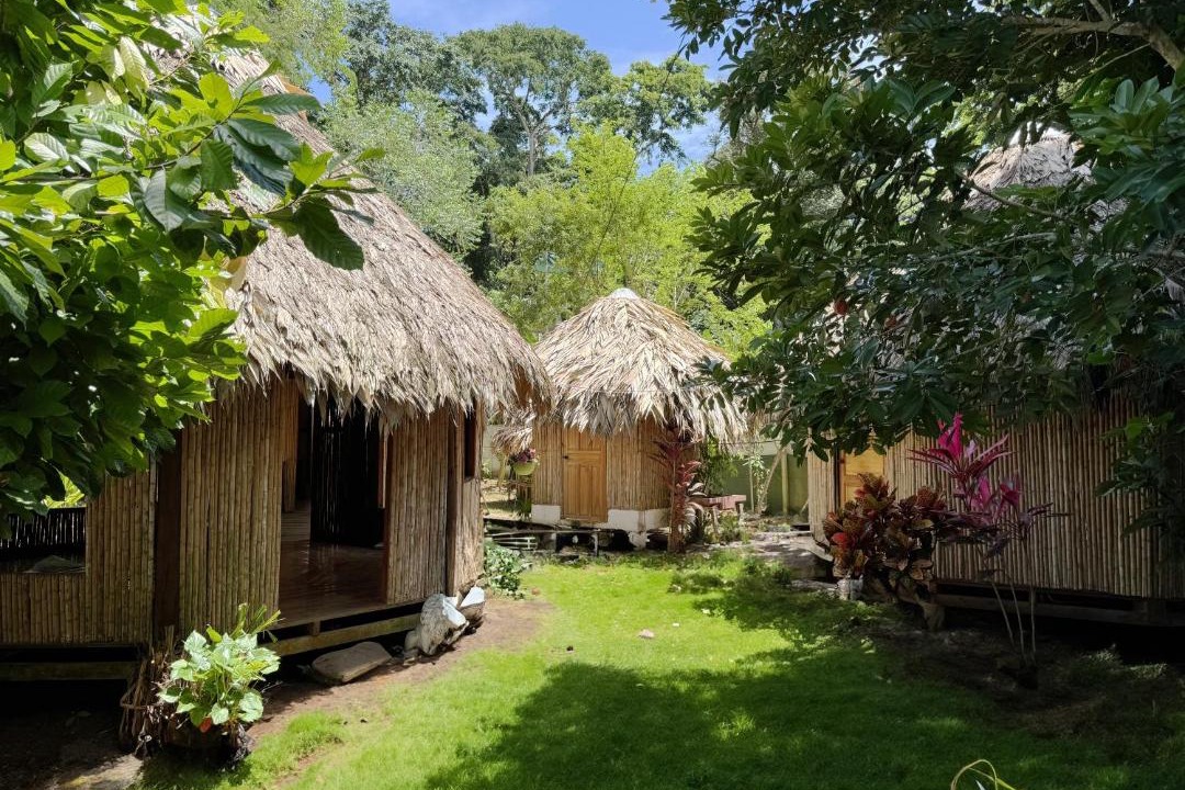 Photo of Others in Puerto Viejo de Talamanca
