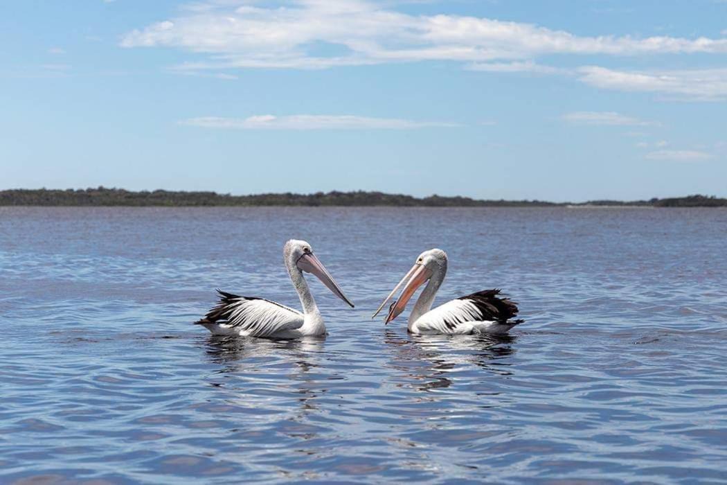Photo of Others in Ansons Bay