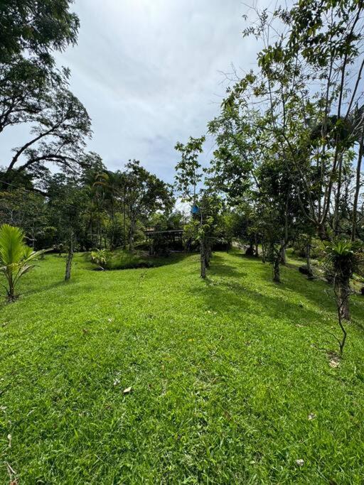 Photo of Others in Pacuare Reserve