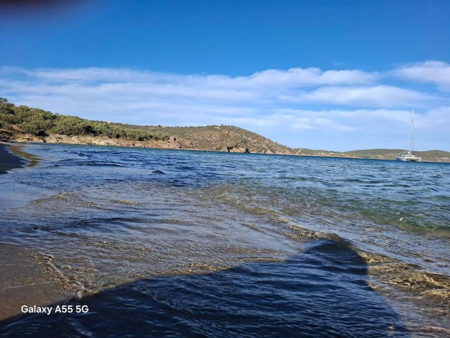 Photo of Others in Skoutari