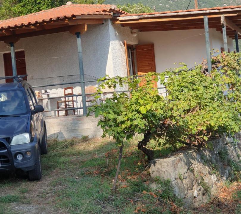 Photo of Others in Tripi