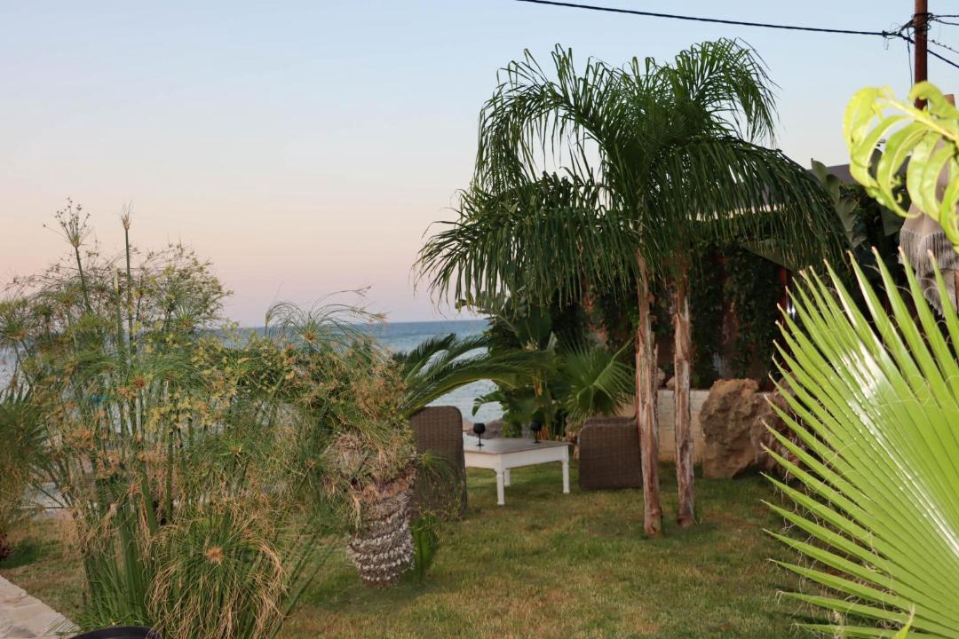 Photo of Others in Lygaria