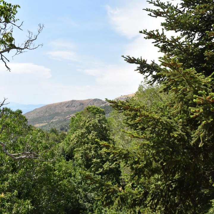 Photo of Others in Megalos Prinos