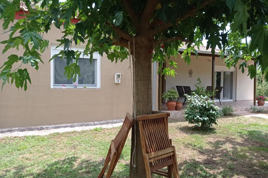 Photo of Others in Avdira