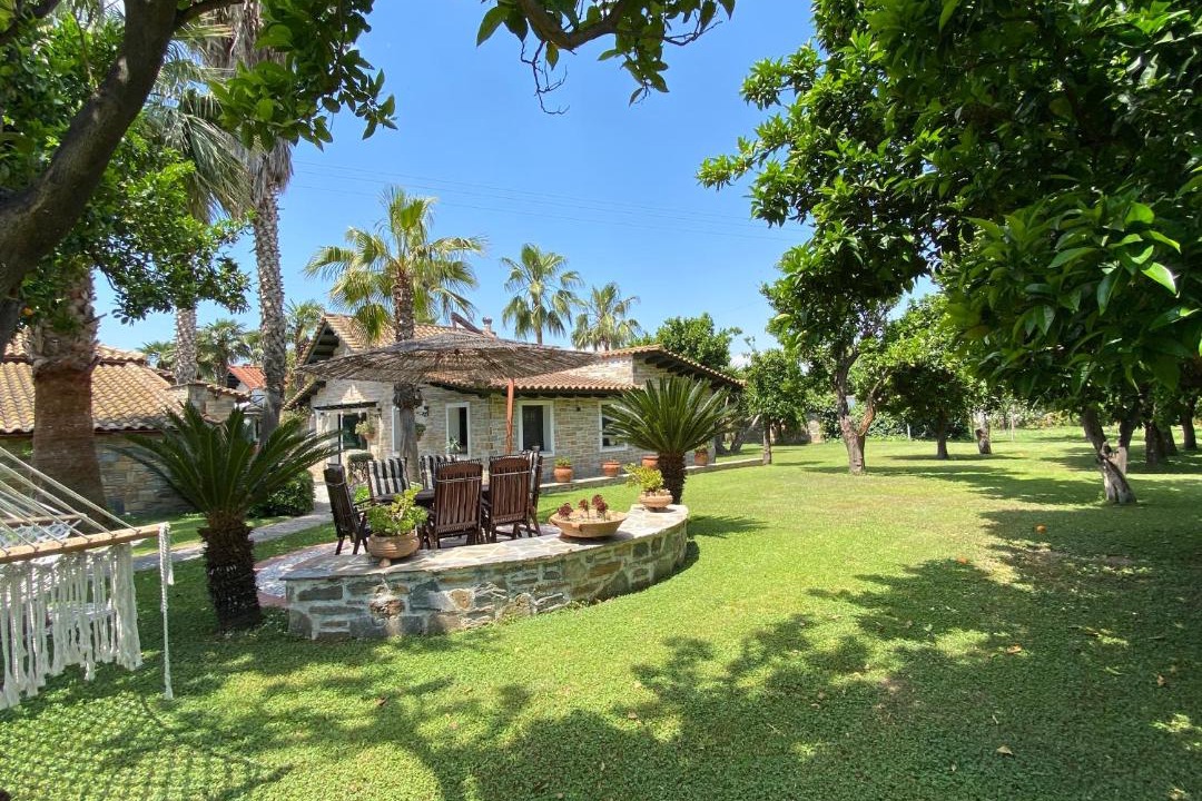 Photo of Others in Artemida