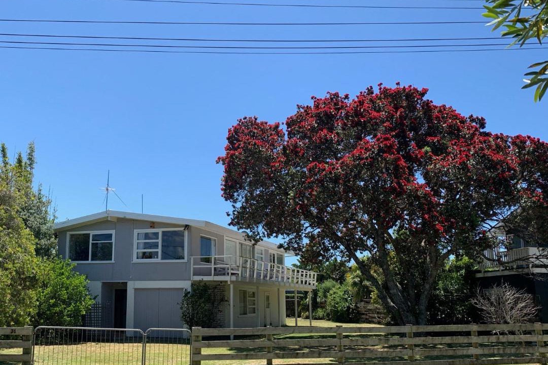 Photo of Others in Matapouri