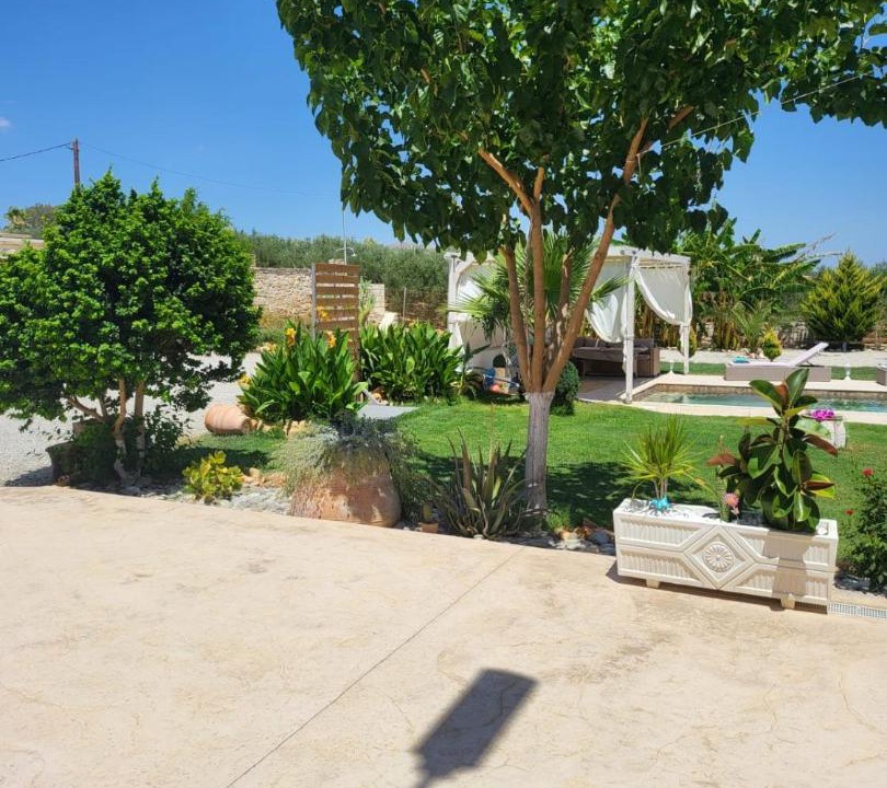 Photo of Others in Mires