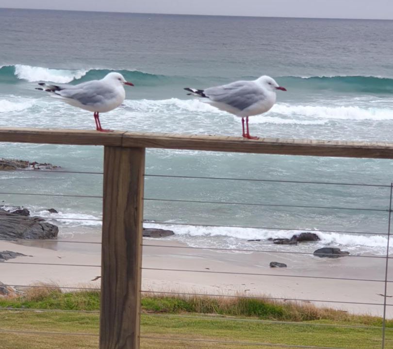 Photo of Others in Falmouth