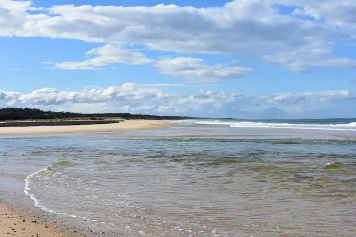 Photo of Others in Scamander