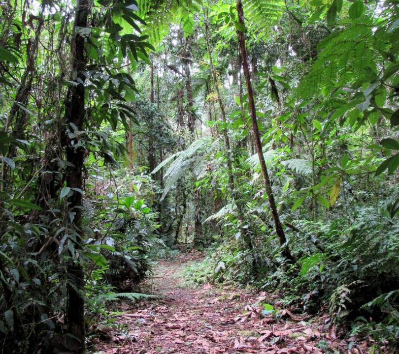 Photo of Others in Jimenez