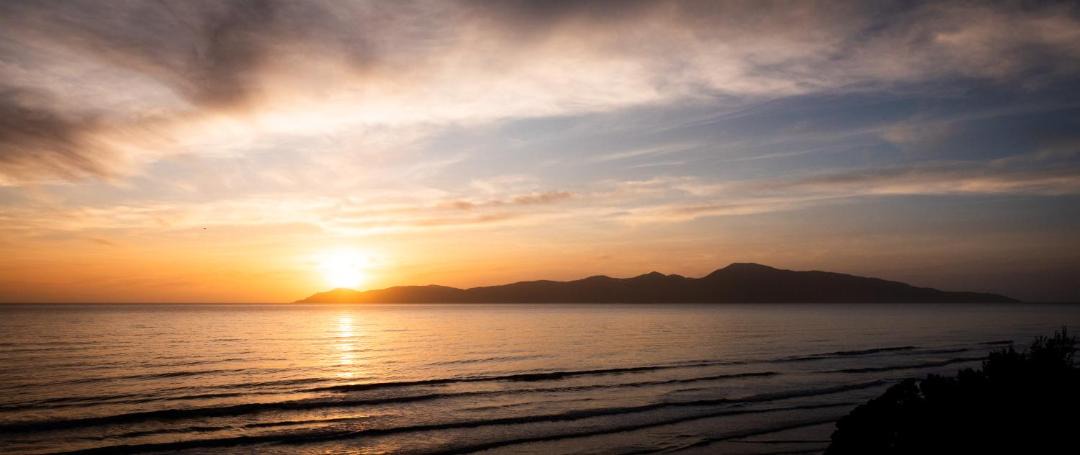 Photo of Others in Raumati South