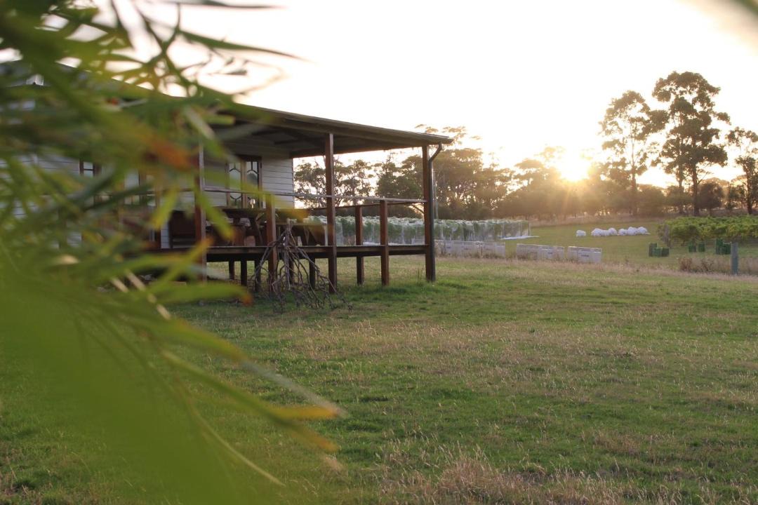 Photo of Others in Little Swanport