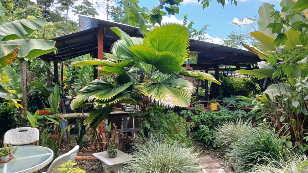 Photo of Others in Jimenez