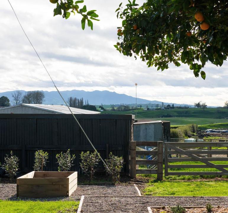 Photo of Others in Otorohanga
