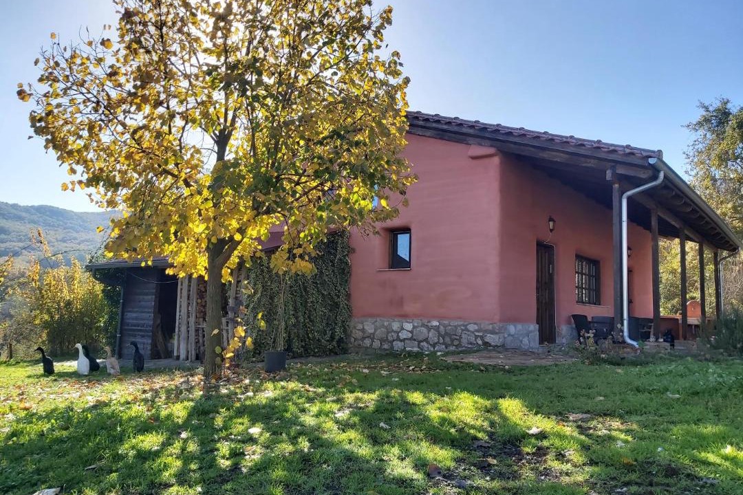 Photo of Buildings in Pyli