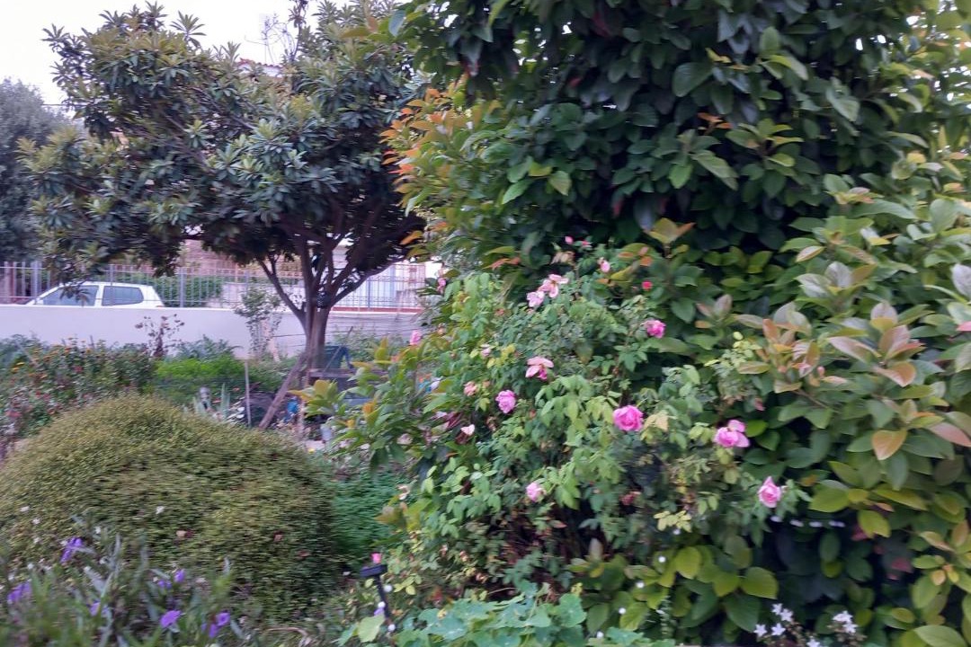 Photo of Outdoor in Paiania