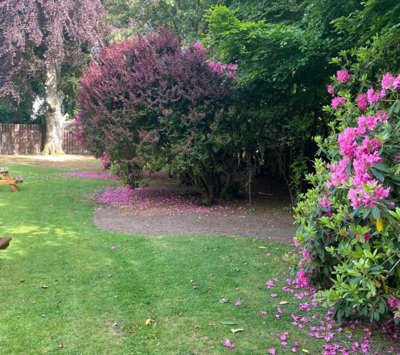 Photo of Outdoor in Kemnay