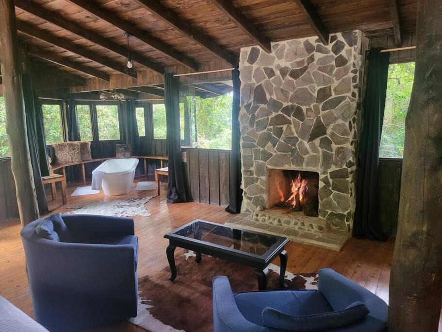 Photo of Livingroom in Copey