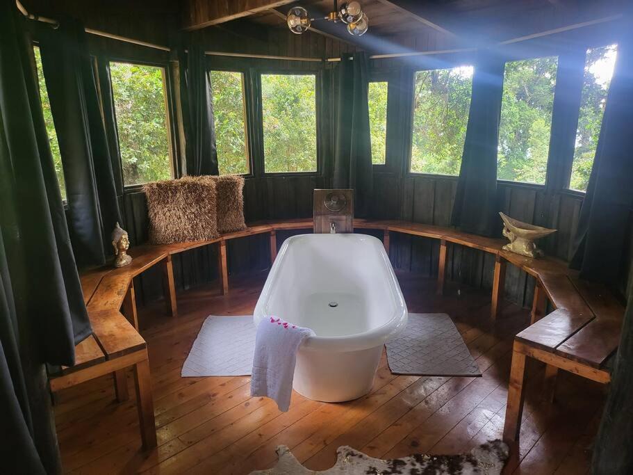 Photo of Livingroom in Copey