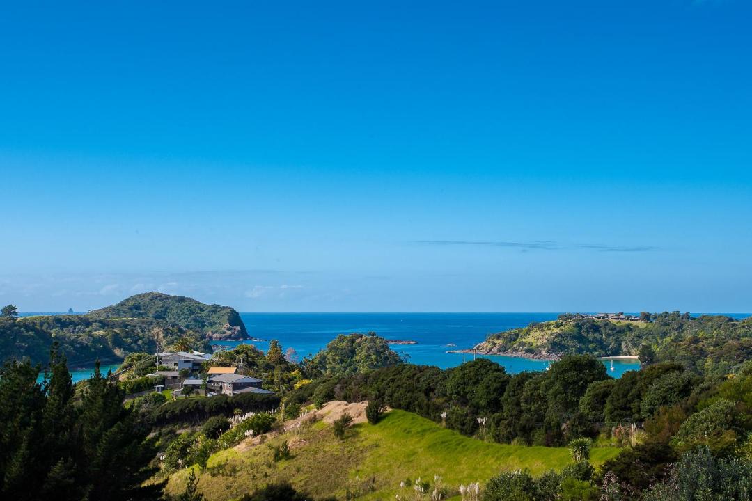 Photo of Outdoor in Tutukaka