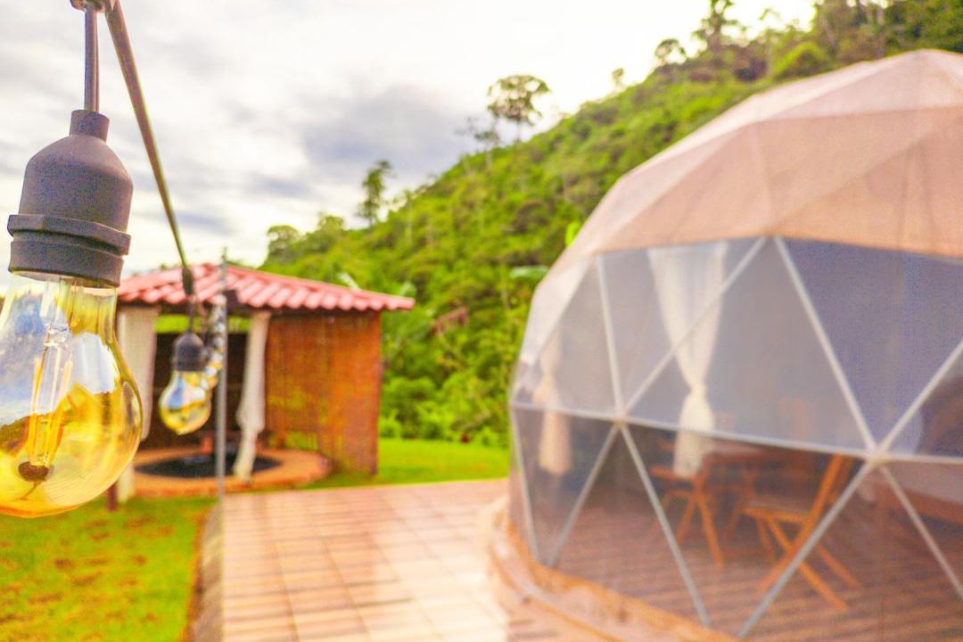 Photo of Others in Pacuare Reserve