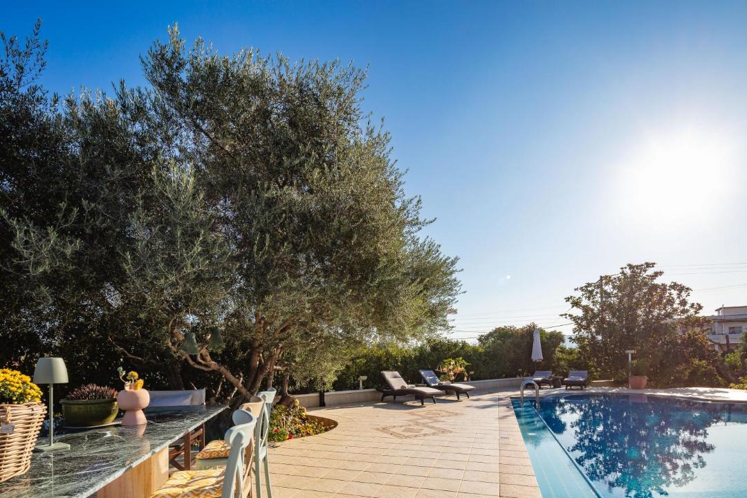Photo of Outdoor in Perivolia
