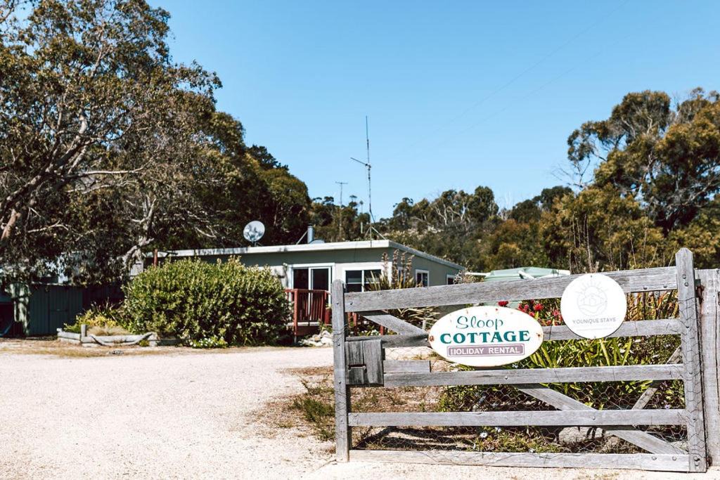 Photo of Buildings in Binalong Bay