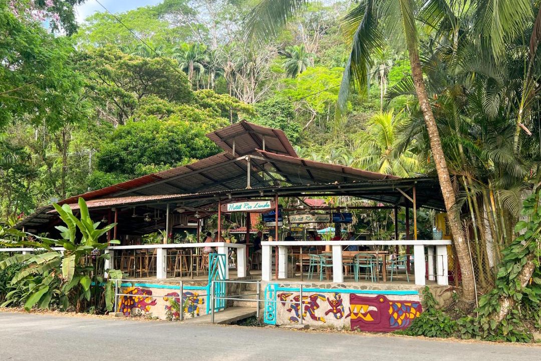 Photo of Others in Dominical