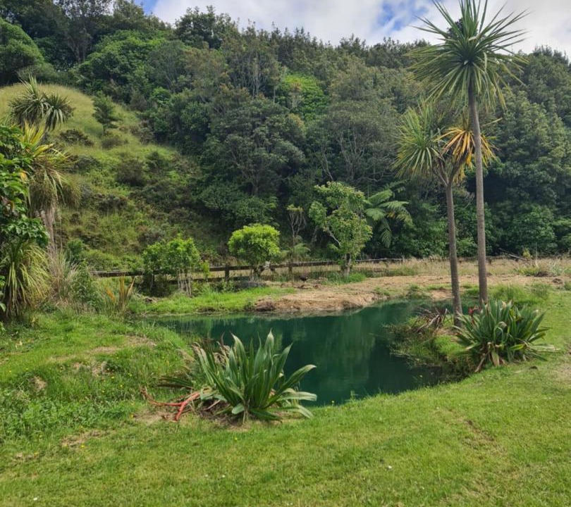 Photo of Others in Paraparaumu