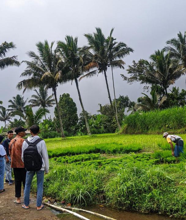 Photo of Others in Tetebatu