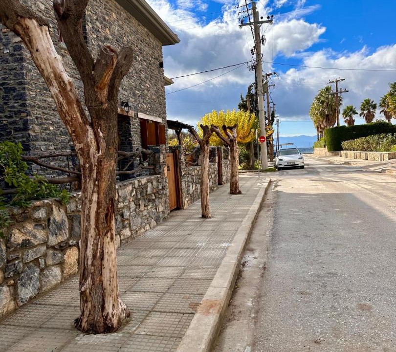 Photo of Others in Agria