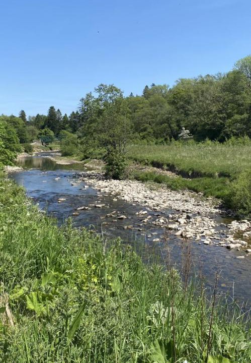 Photo of Outdoor in Newcastleton