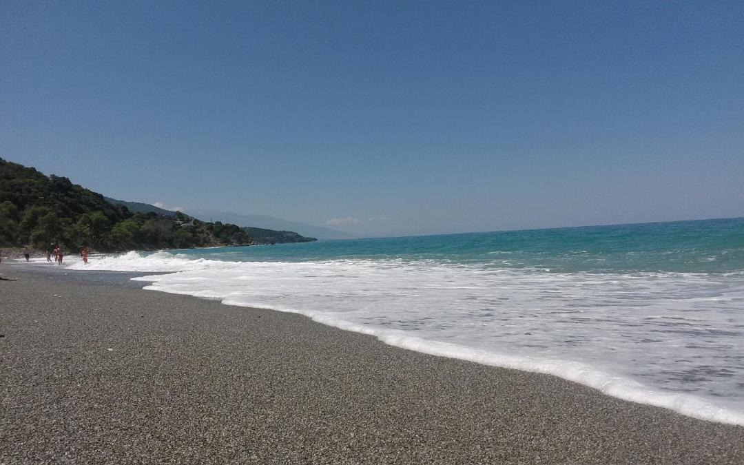 Photo of Others in Agia