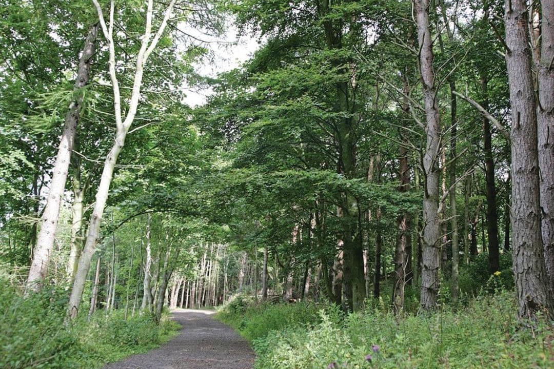 Photo of Others in Dunbar