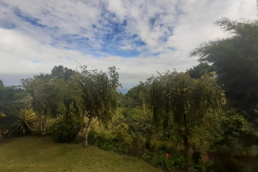 Photo of Others in Wanagiri