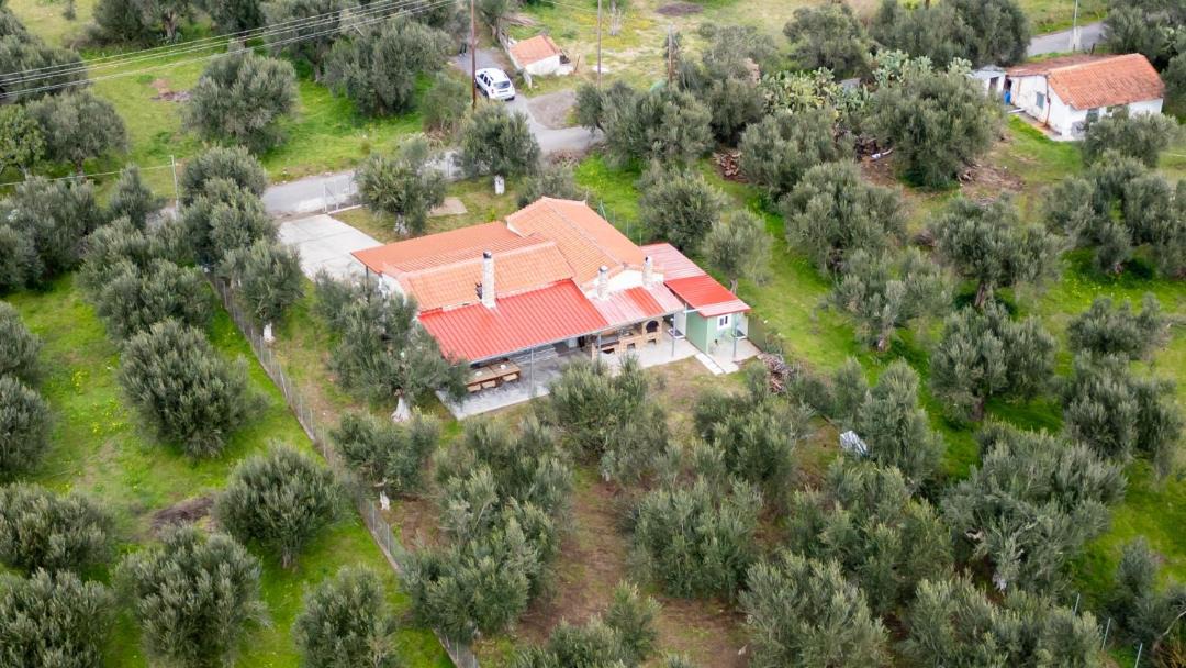 Photo of Others in Oichalia