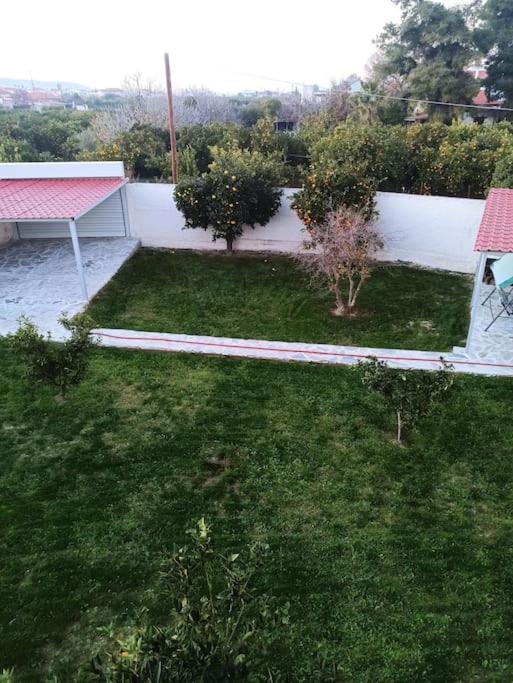 Photo of Others in Velon