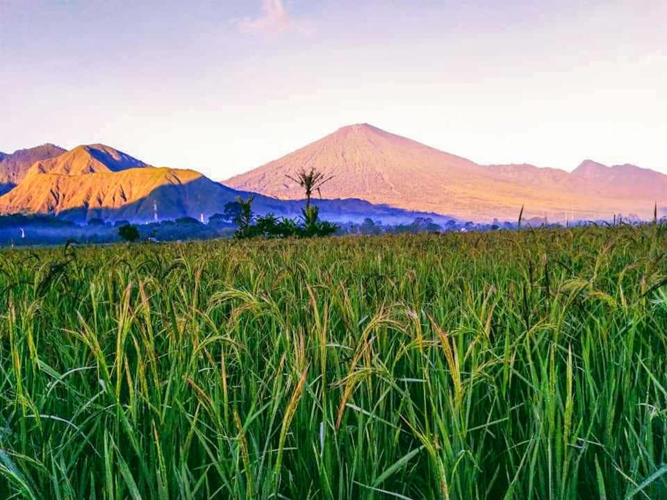 Photo of Others in Kecamatan Sembalun