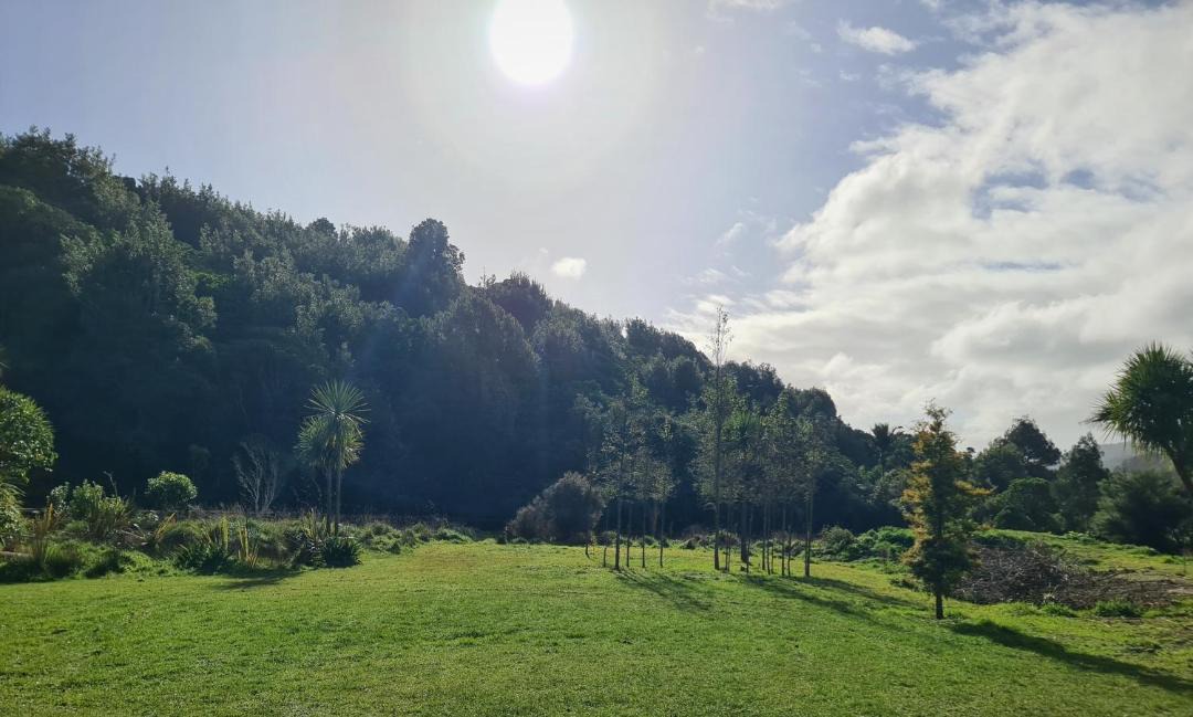Photo of Others in Paraparaumu